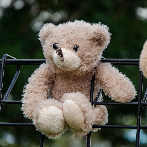 Foto prossimo piano di un giocattolo di peluche