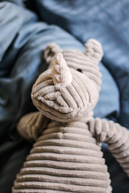 Photo close-up of stuffed toy