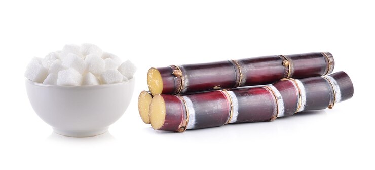 फोटो close-up of sugarcane on white background