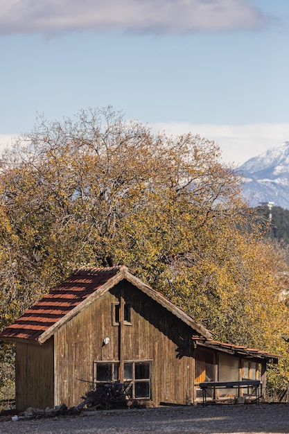 Close-up of a summer wooden house with a small veranda in the background a forest and a mountain.