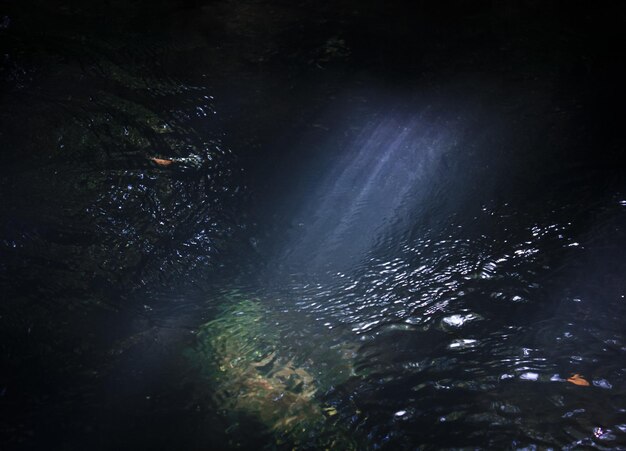 Photo close up sunbeam falling into running creek concept photo