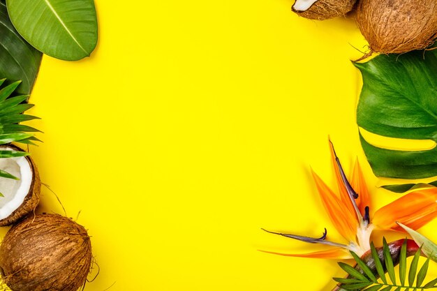 Close-up of sunflower against yellow background