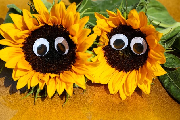 Photo close-up of sunflower