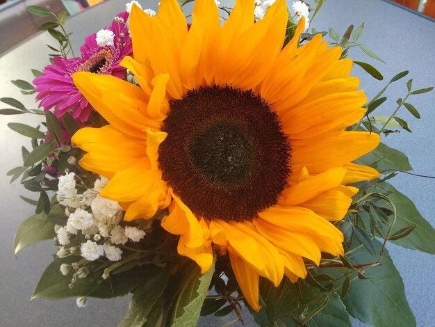 Close-up of sunflower