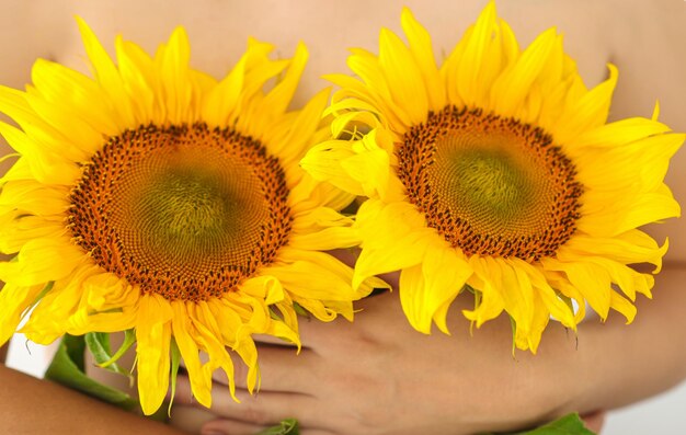 Close-up of sunflower