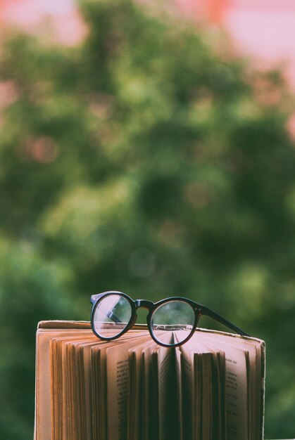 Close-up of sunglasses against trees