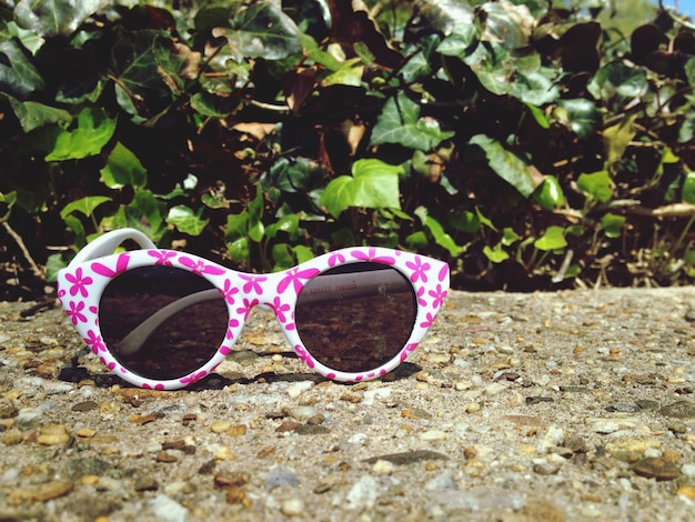 Photo close-up of sunglasses in garden