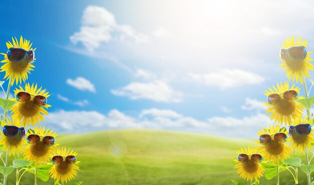 Close-up of sunglasses on sunflower at field against cloudy sky