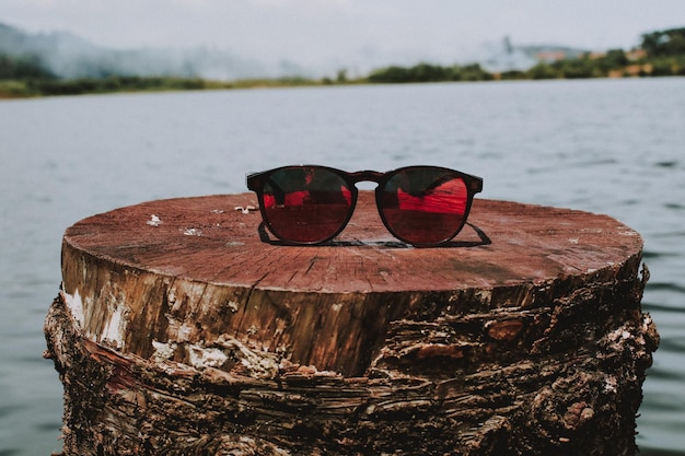 Foto close-up di occhiali da sole su un tronco di albero vicino al lago
