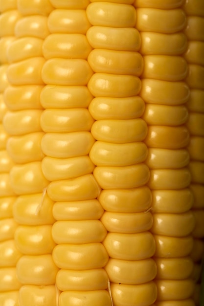 Close-up of sweetcorns against white background