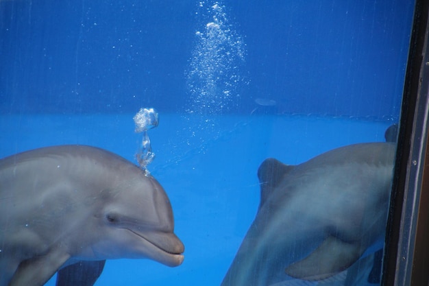 Foto prossimo piano della piscina