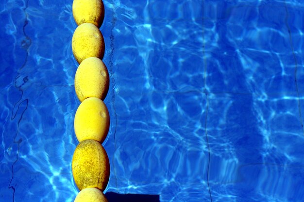 Close-up of swimming in pool