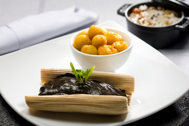 Close-up of Tamale with typical Mexican mole