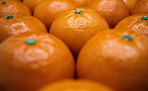 Close-up of tangerine and