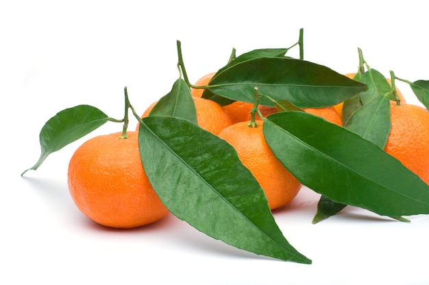 Close up tangerines with leaves