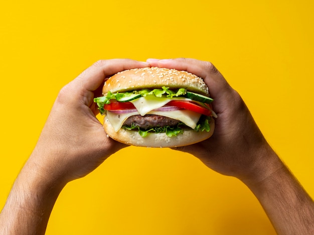 Close-up tasty cheeseburger with seeds