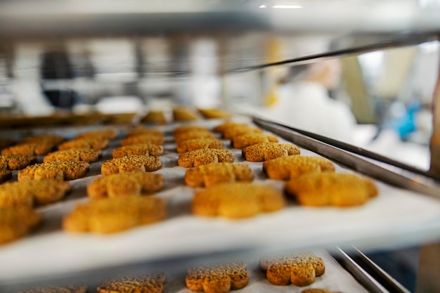 Close up of tasty cookies on tray in food factory