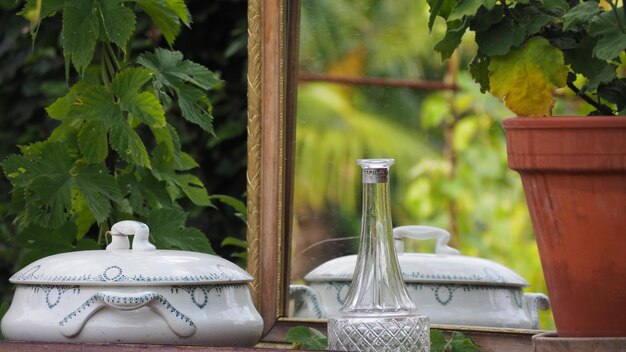 Close-up of tea served on table in yard