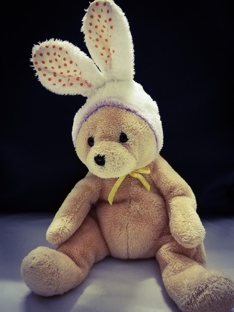 Close-up of teddy bear against black background