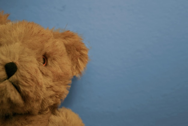 Photo close-up of teddy bear against blue wall