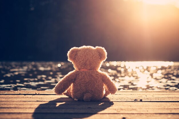 Photo close-up of teddy bread on pier by lake