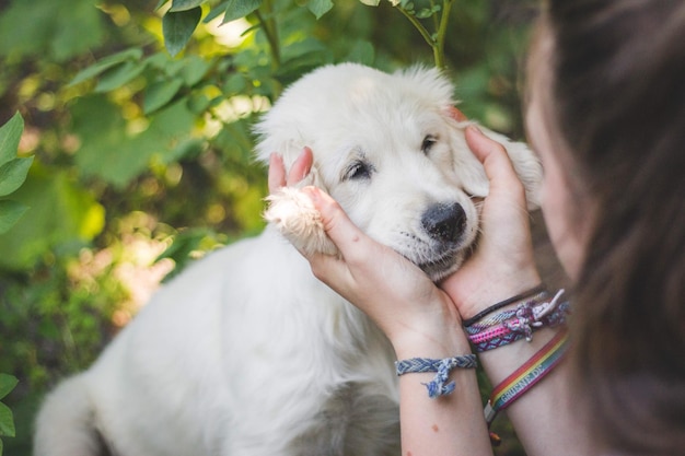 フィールドで犬を撫でている10代の女の子のクローズアップ