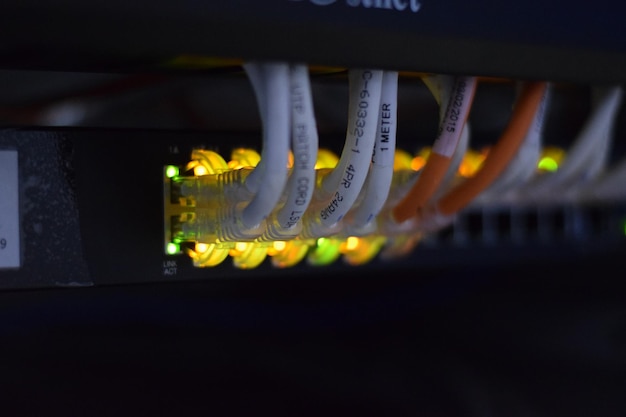 Close-up of telephone on cable