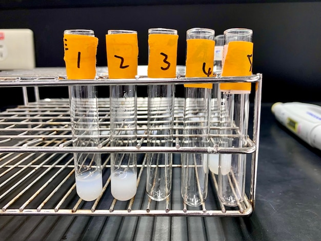 Photo close-up of test tubes in lab