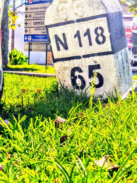 Close-up of text on grass