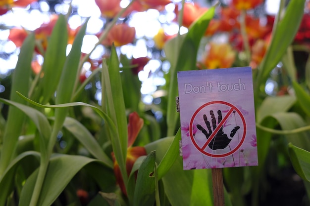 Photo close-up of text on plant