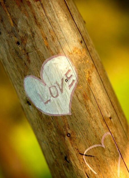 Photo close-up of text on wood