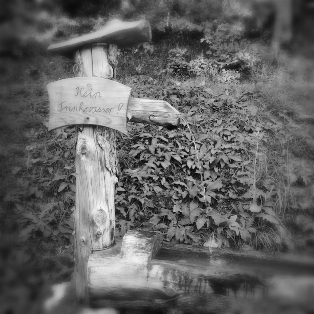 Photo close-up of text on wooden signboard against trees