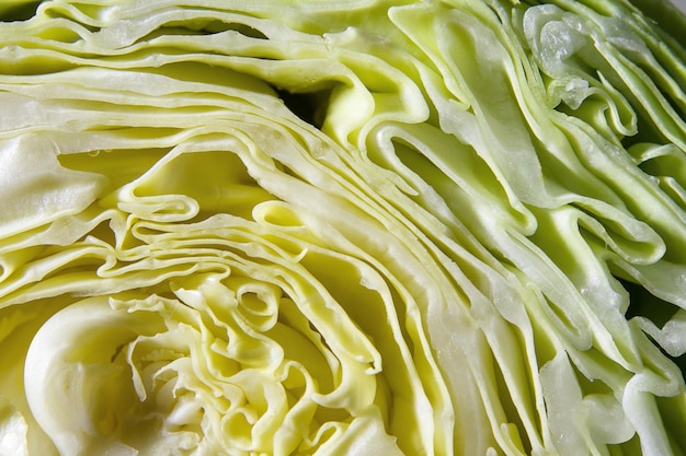 Close up of texture cut green cabbage