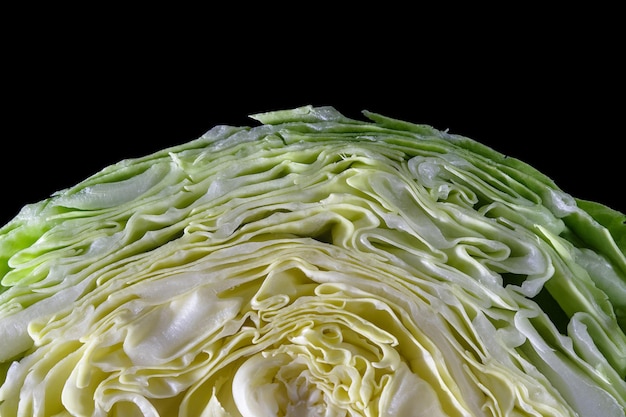 Close up of texture cut green cabbage