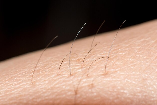 Close up texture of human skin with hair.