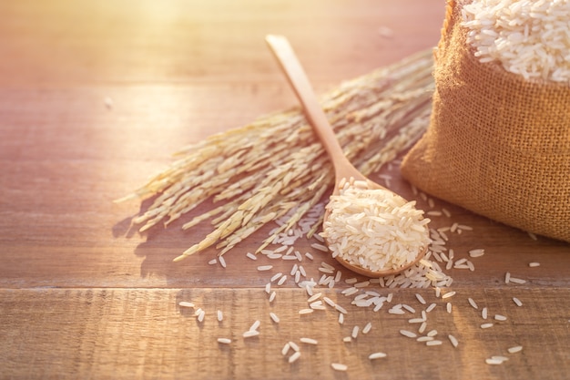 Close up Thai jasmine rice in spoon and small sack on wooden table