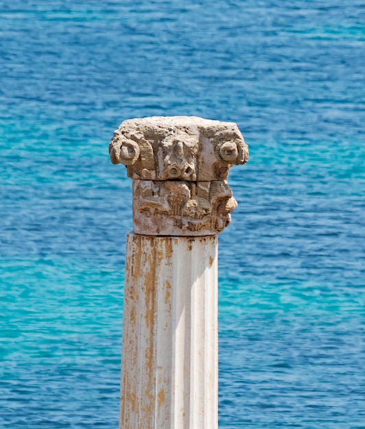 Foto primo piano del capitello corinzio di tharros