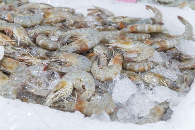 Close up the Shrimp verkoopt op de markt.