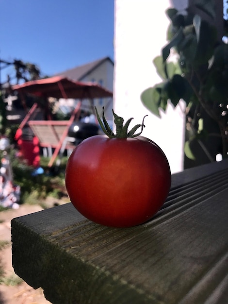 Foto prossimo piano di un pomodoro su tavola