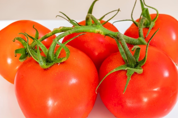 Close-up of tomatoes against white background