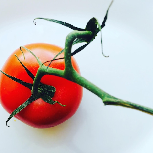 Photo close-up of tomatoes against white background