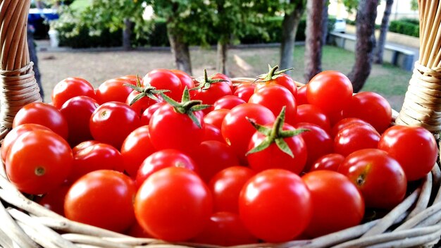 Foto prossimo piano dei pomodori nel cesto