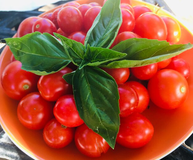 Close-up of tomatoes in container