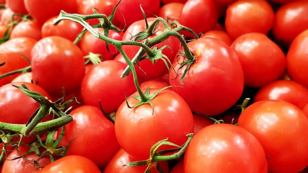 Close-up of tomatoes for sale at market