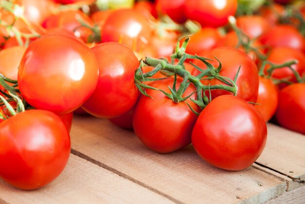 Close-up of tomatoes for sale at market