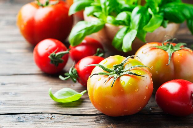 Close-up of tomatoes on table