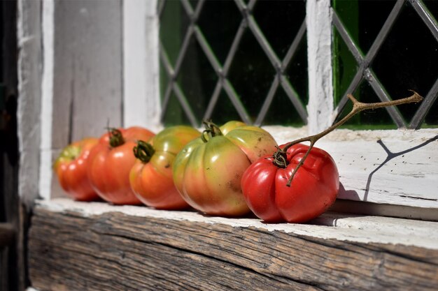 Foto close-up di pomodori sulla parete di legno che maturano al sole