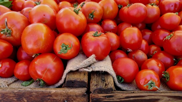 Photo close-up of tomatoes