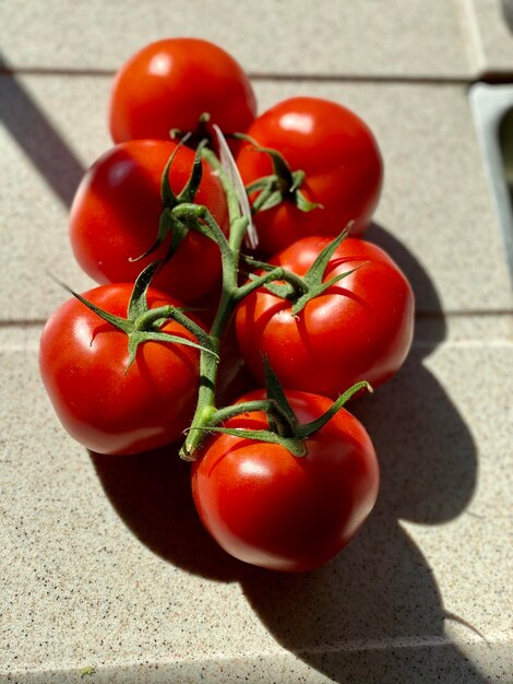 Close-up of tomatoes