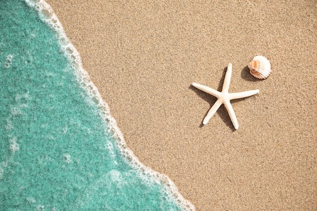 Close-up top view of water on tropical sandy beach